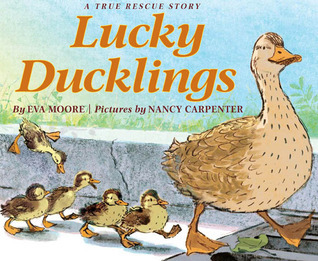 Lucky Ducklings book cover