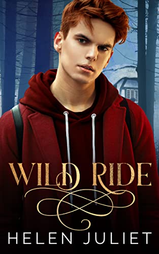 Wild Ride book cover