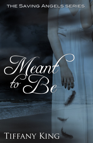 The Saving Angels book cover 1