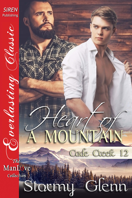 Heart of a Mountain book cover