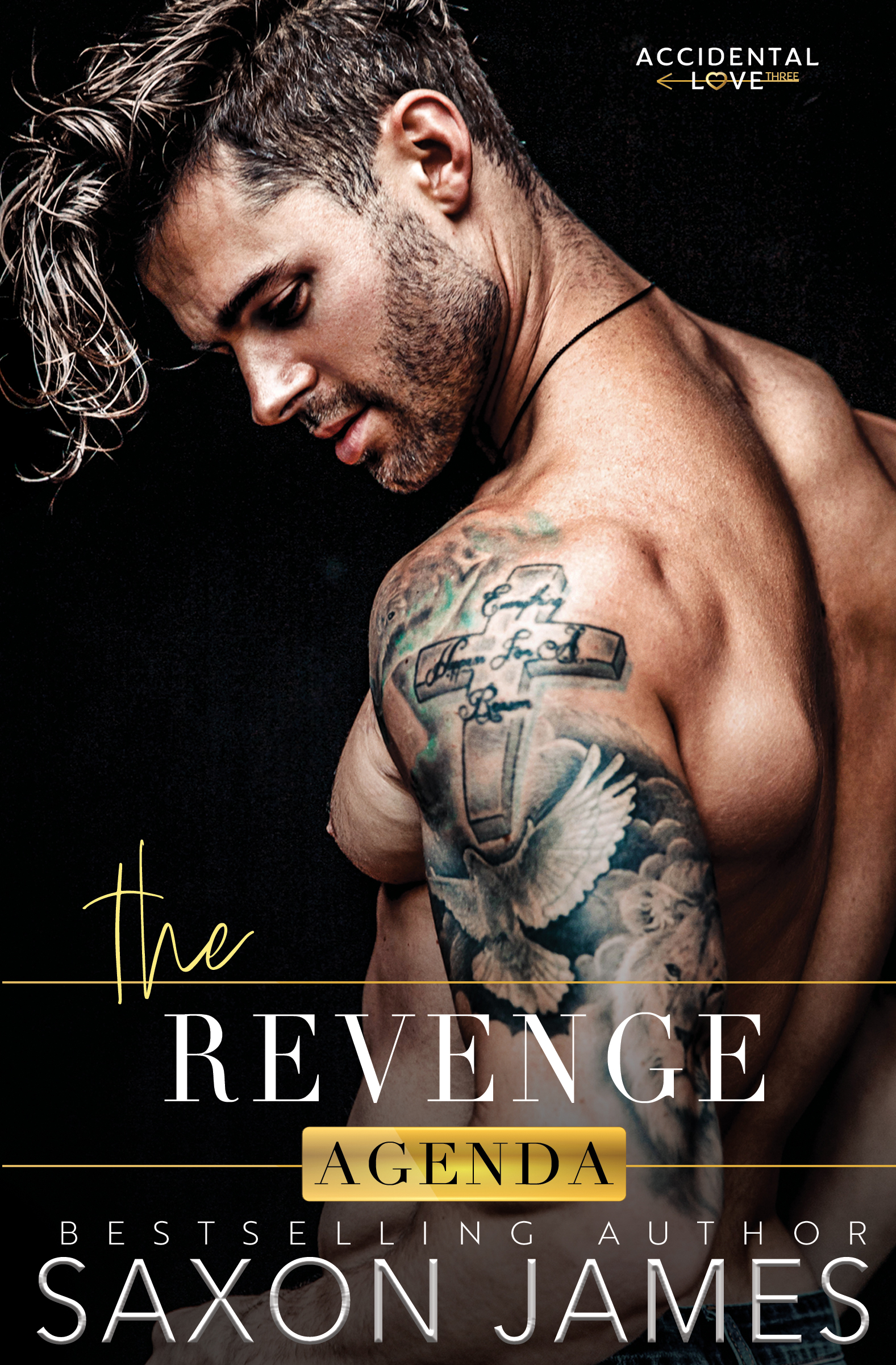 Accidental Love book cover 3