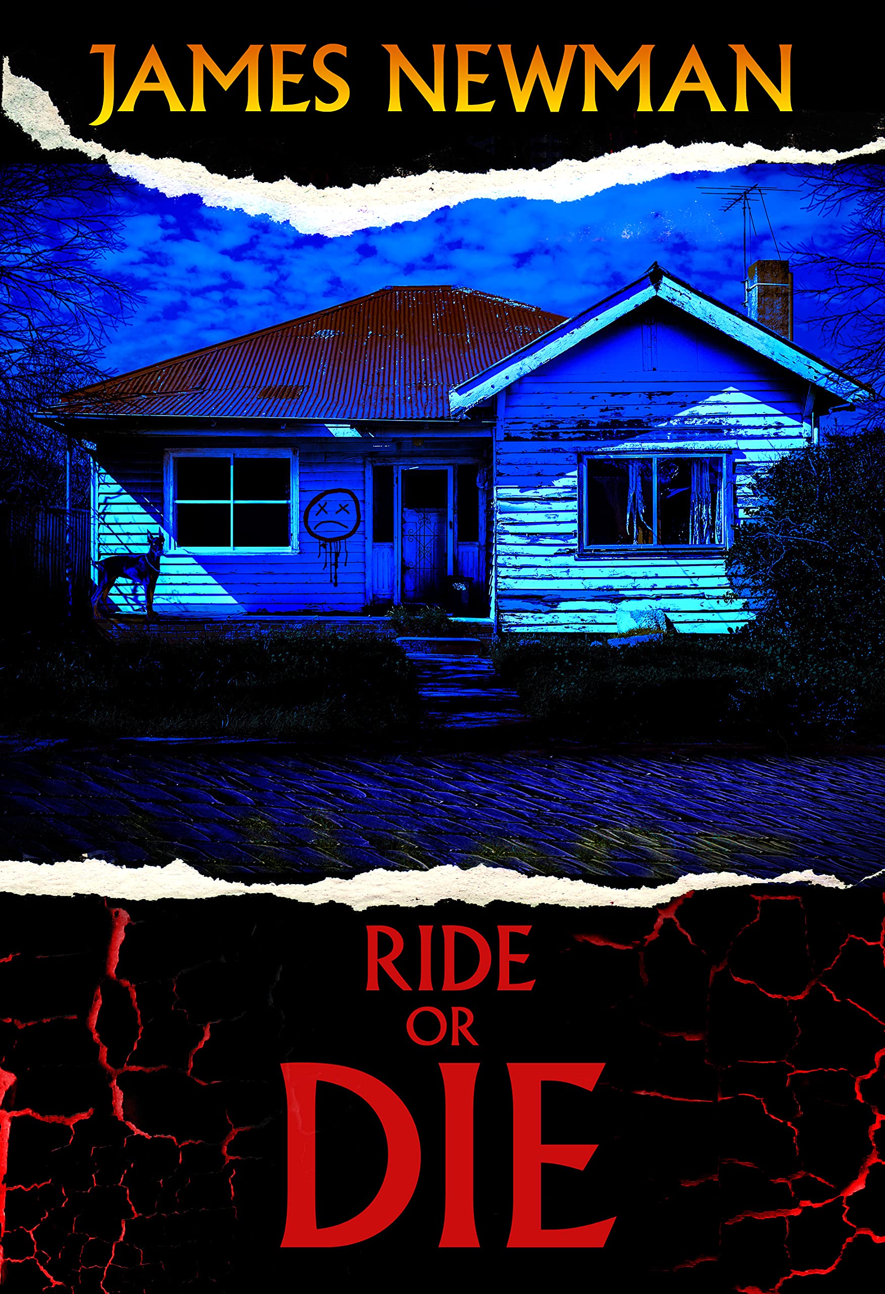 Ride or Die book cover