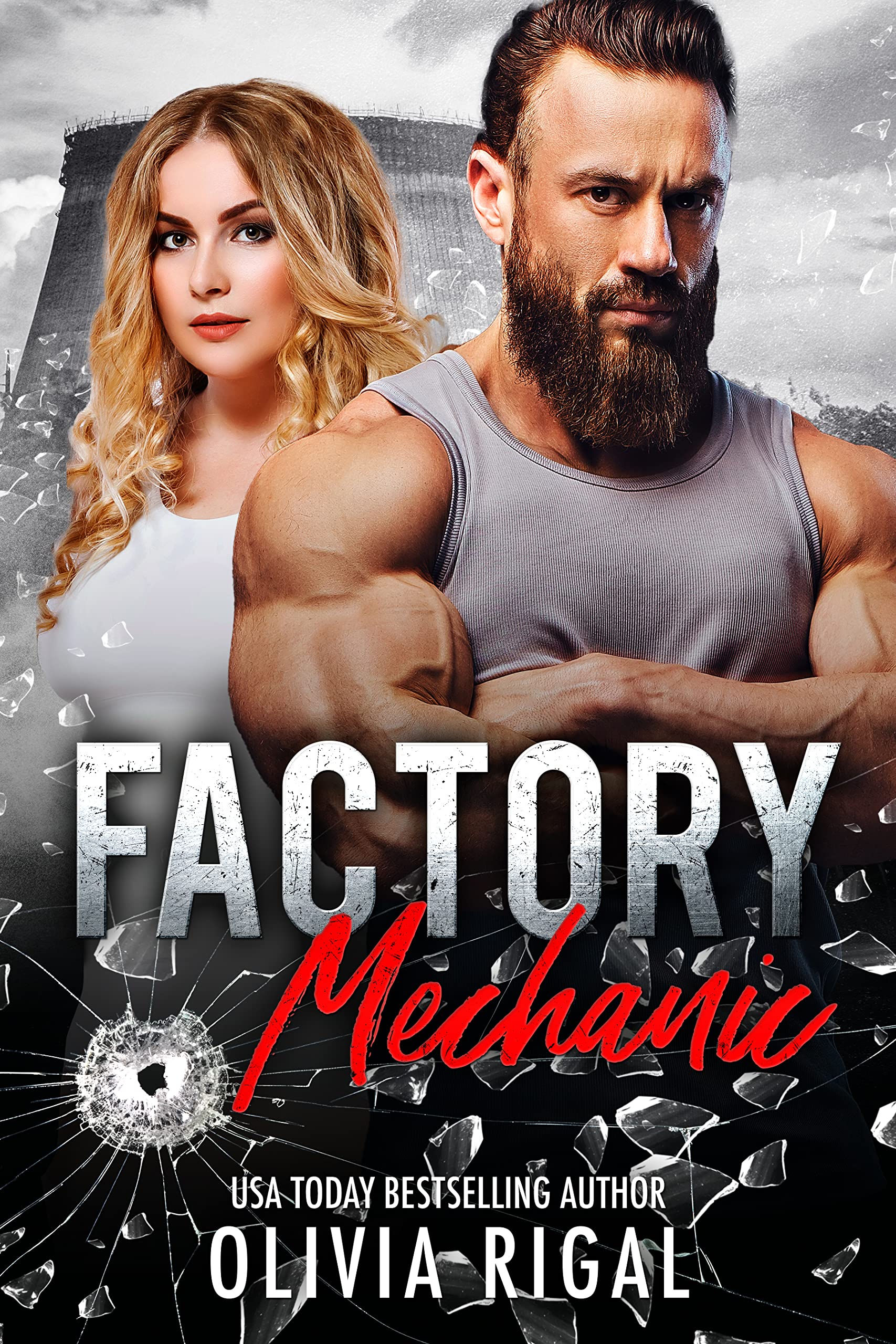 Factory Mechanic book cover