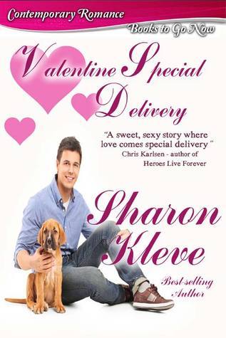 Valentine Special Delivery book cover