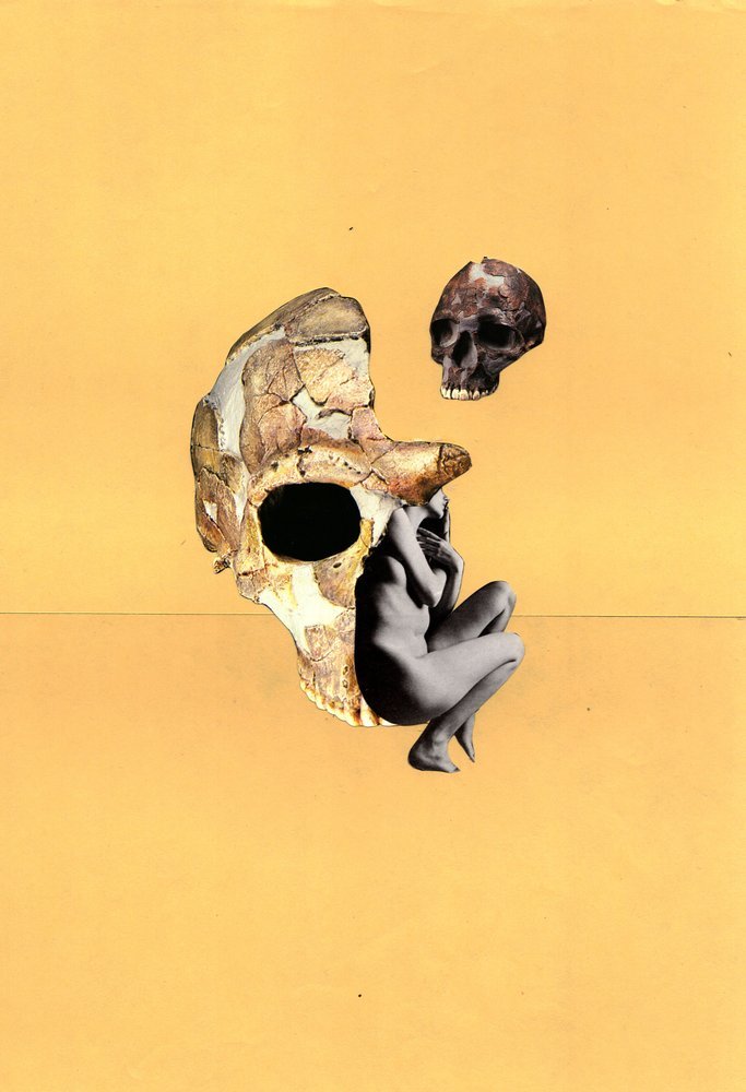The Woman Who Lived Amongst the Cannibals book cover