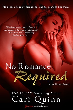 Love Required book cover 3