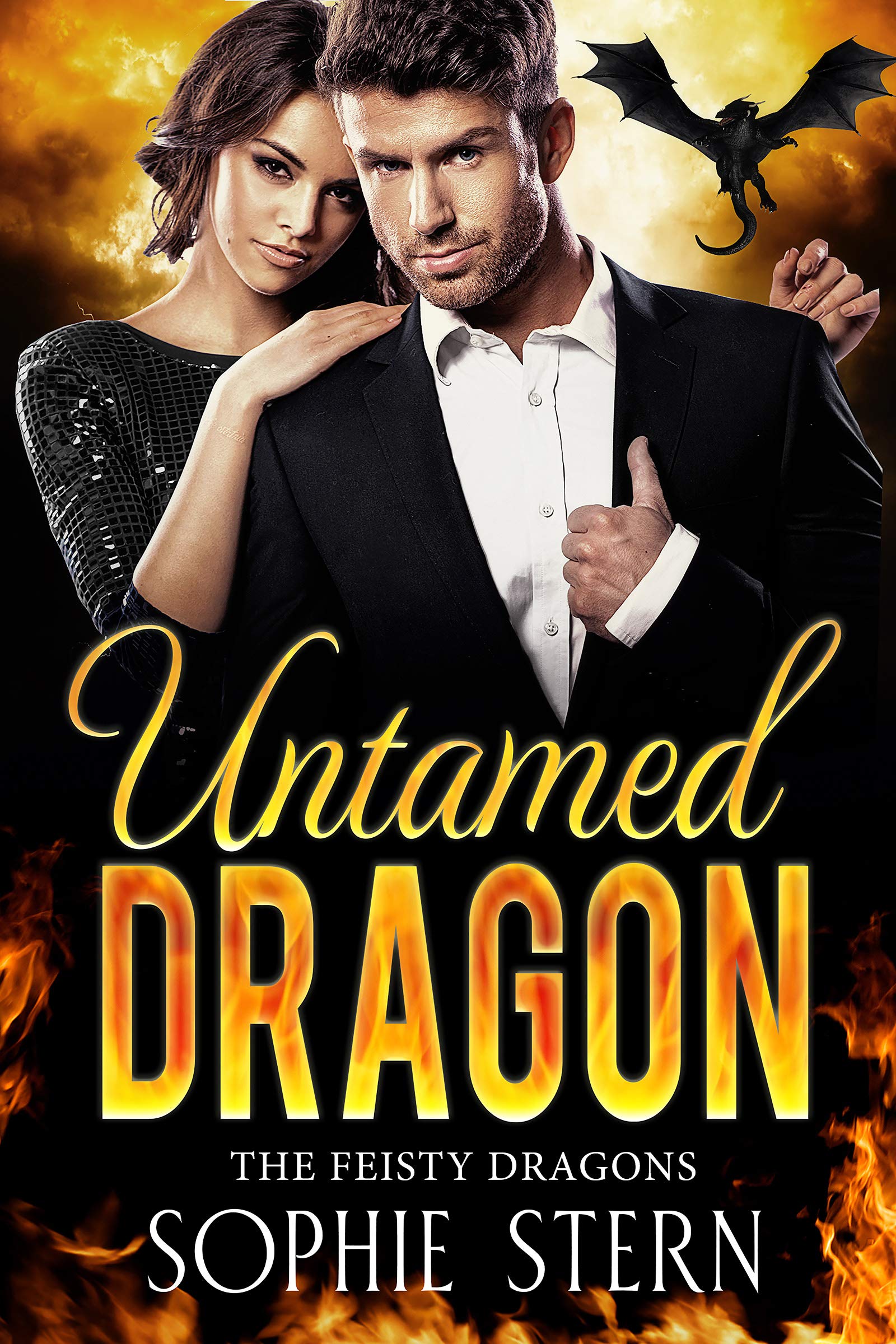 The Feisty Dragons book cover 1