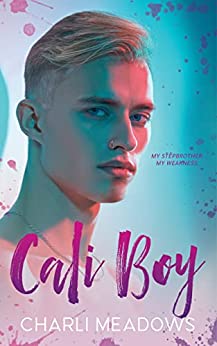 The Loyal Boys book cover 1