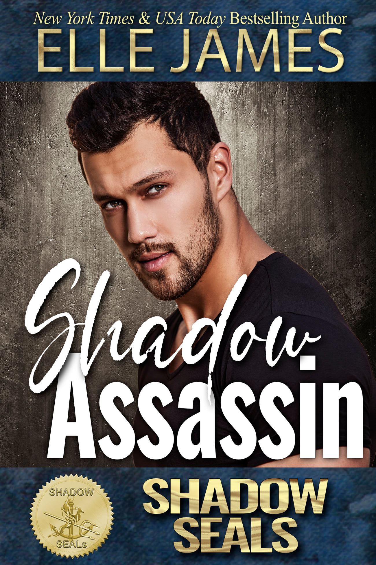 Shadow SEALs book cover 2