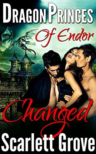 Dragon Princes of Endor book cover 2