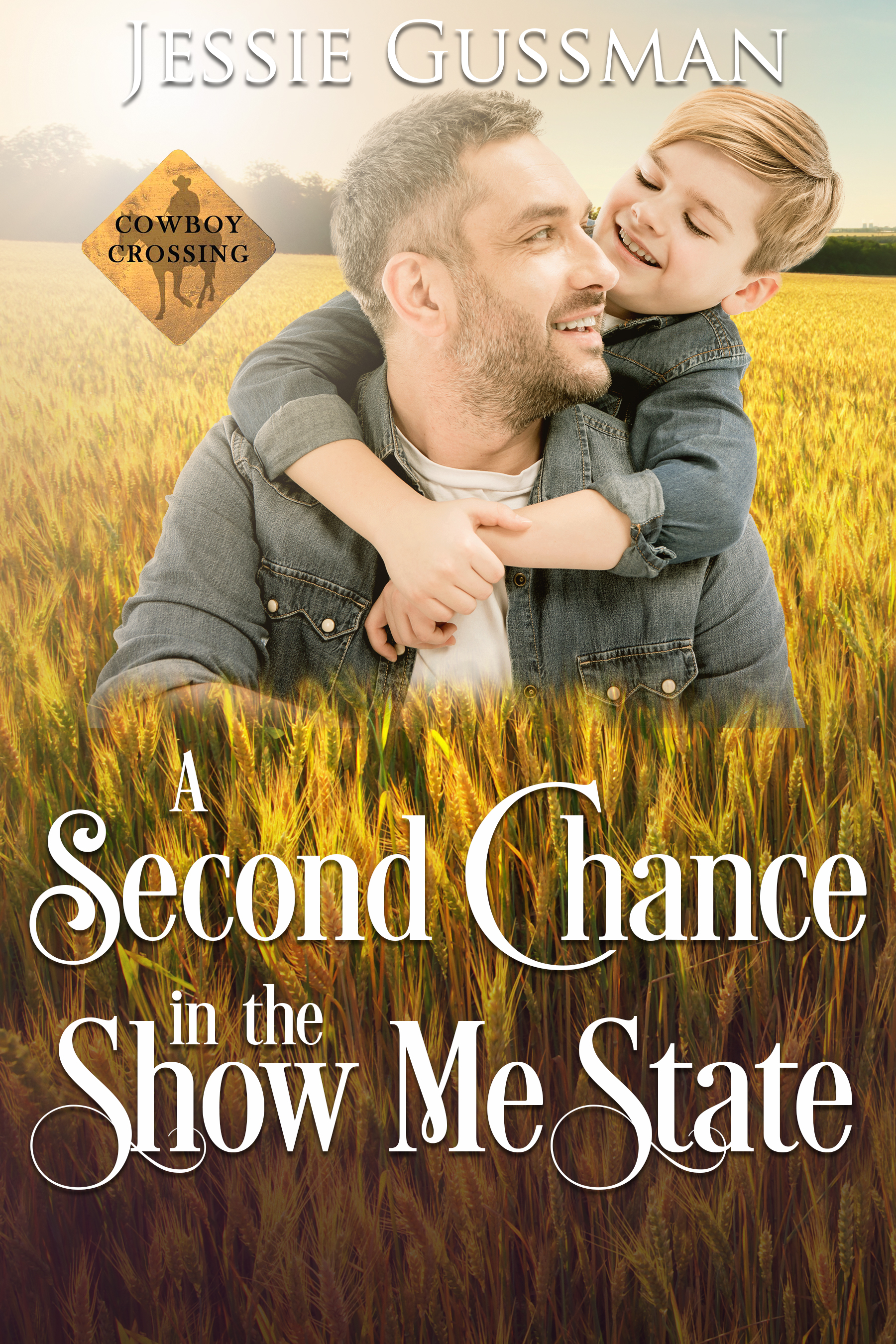 A Second Chance in the Show Me State book cover