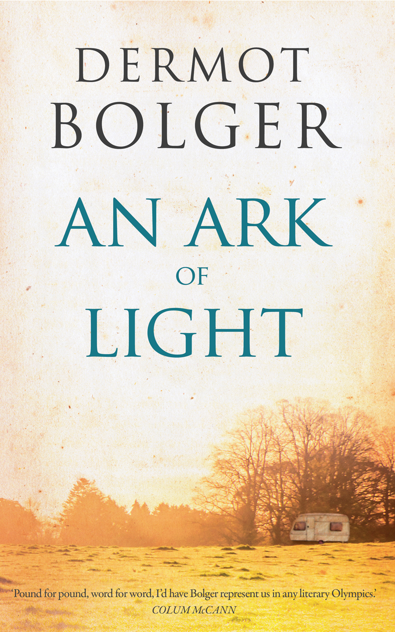 An Ark of Light book cover