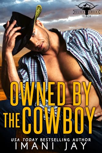 Owned By The Cowboy book cover