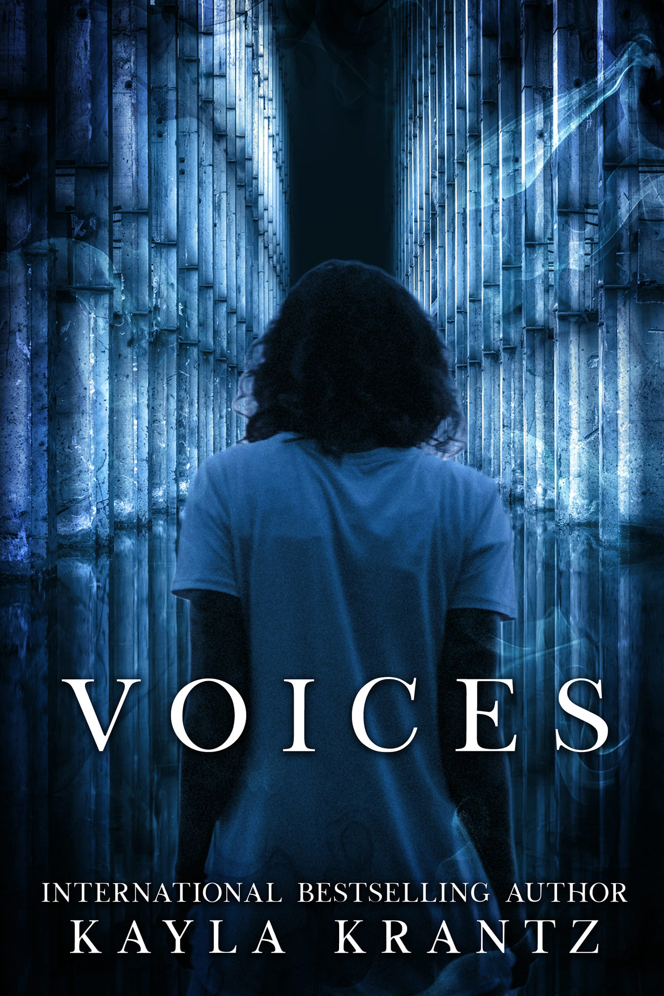 Voices book cover