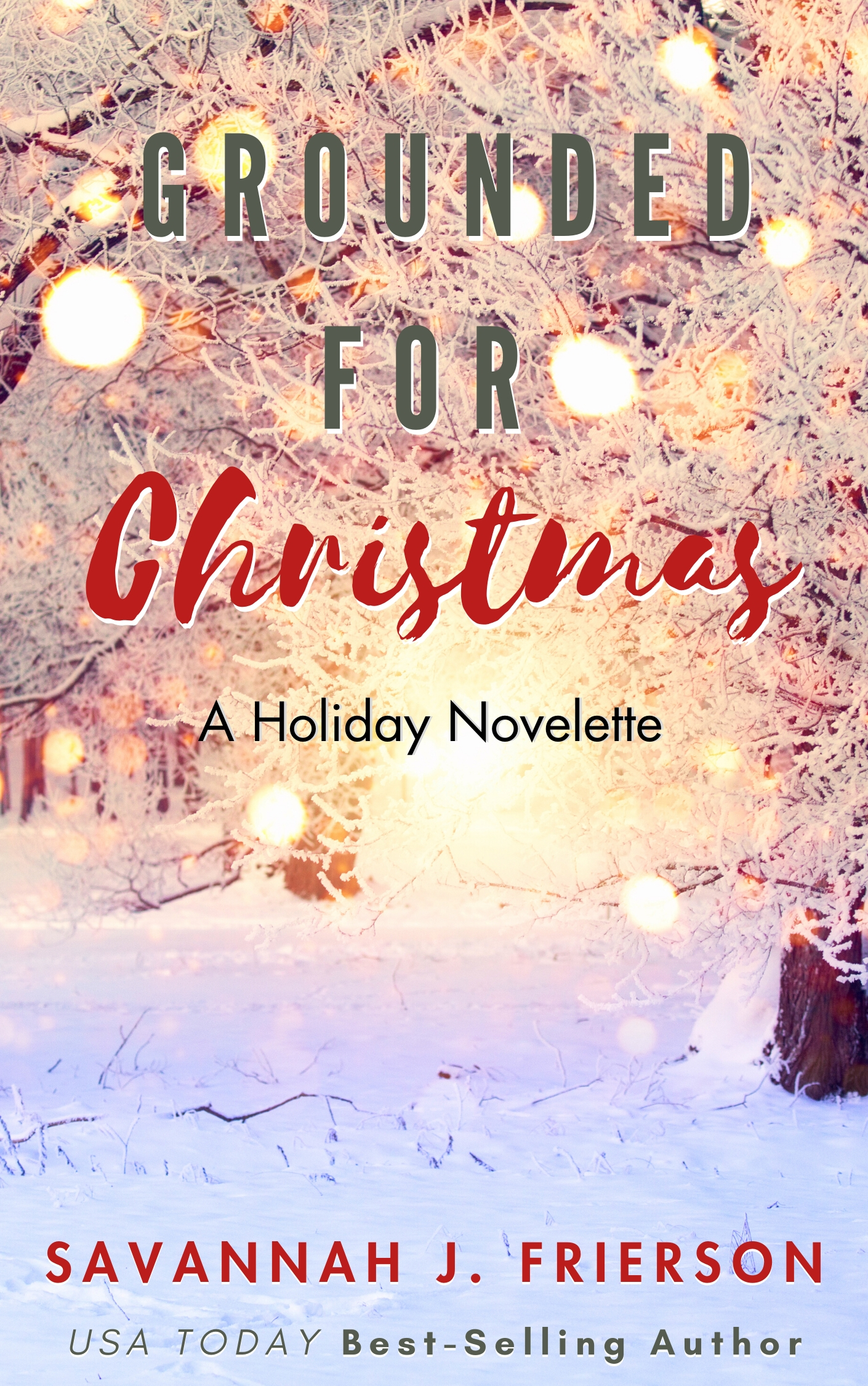 Grounded for Christmas book cover