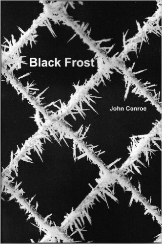 Black Frost book cover