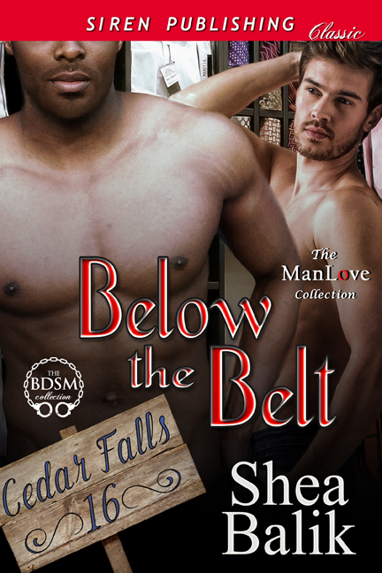 Below the Belt book cover