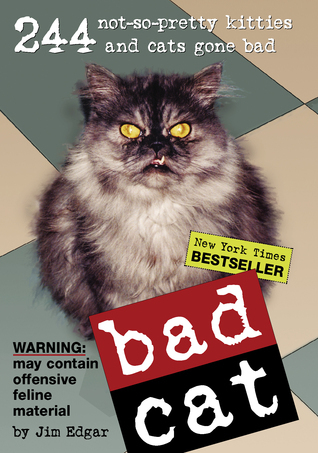 Bad Cat book cover