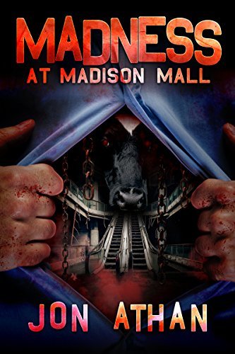 Madness at Madison Mall book cover