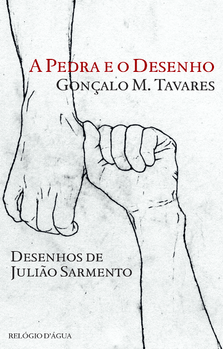 A Pedra e o Desenho book cover