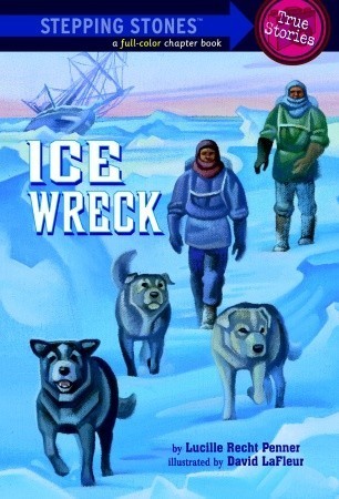 Ice Wreck book cover