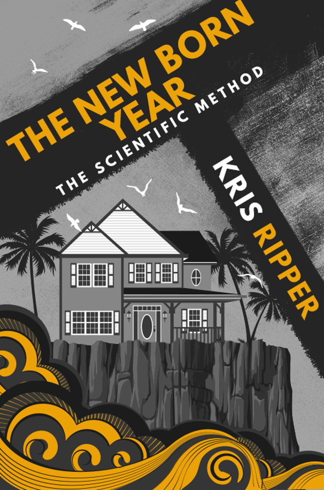 New Year's book cover 1