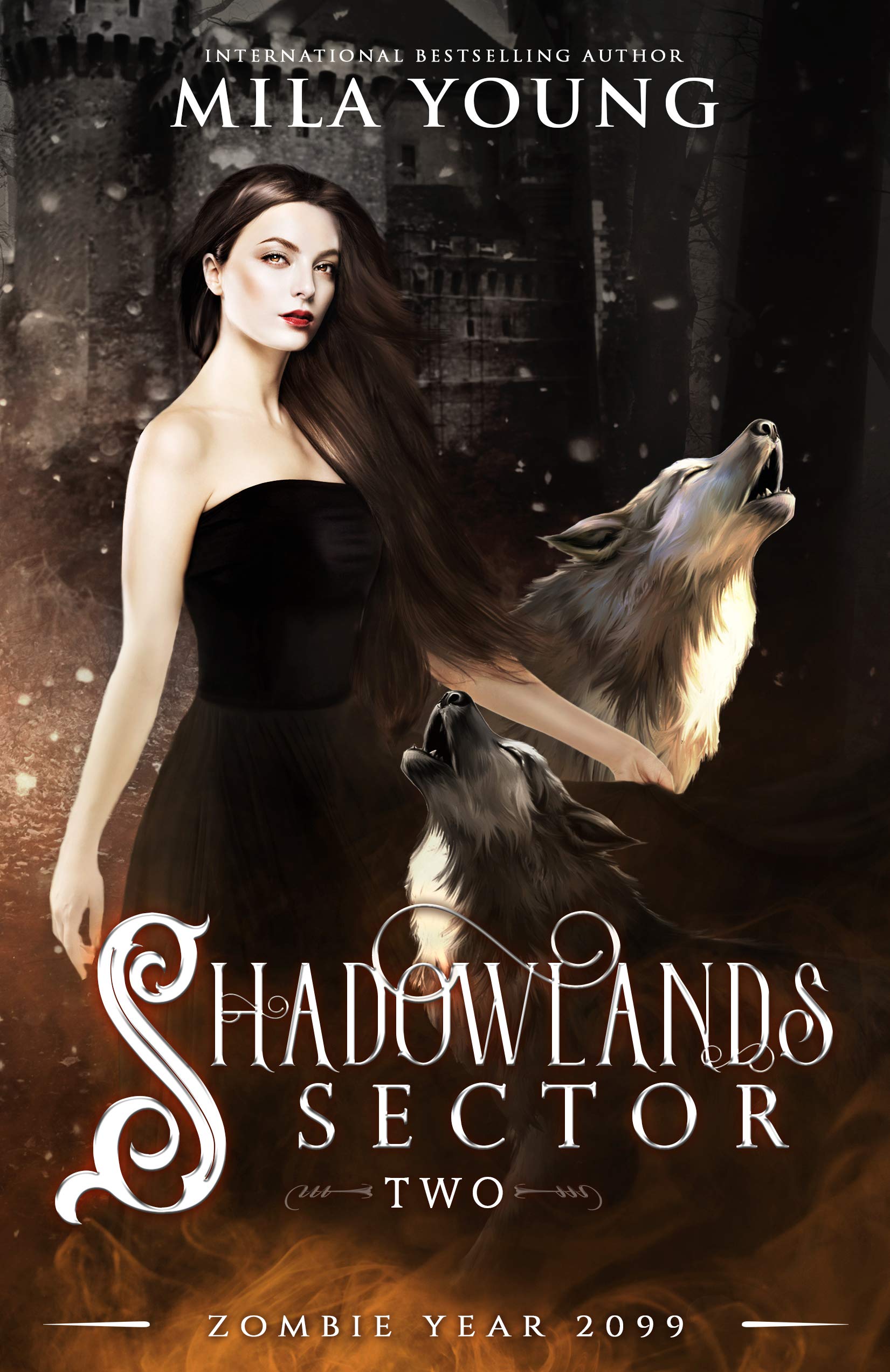 Shadowlands Sector book cover 2