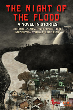 The Night of the Flood book cover