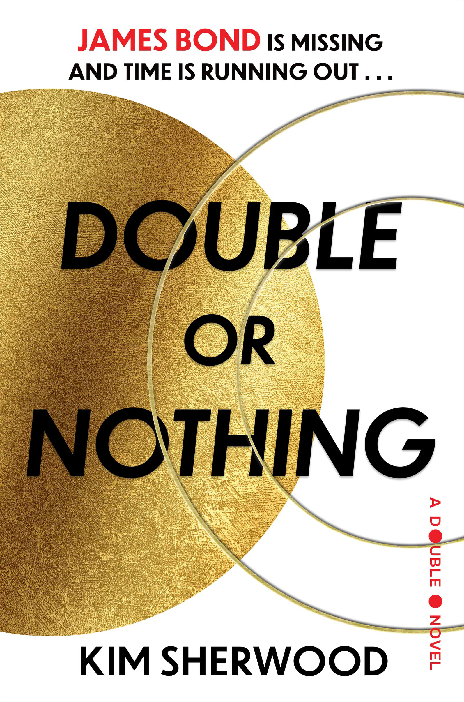 Double or Nothing book cover