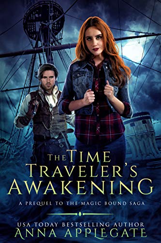 The Time Traveler's Awakening book cover
