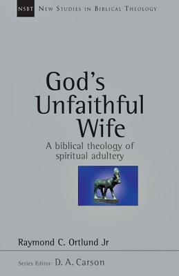 New Studies in Biblical Theology book cover 2