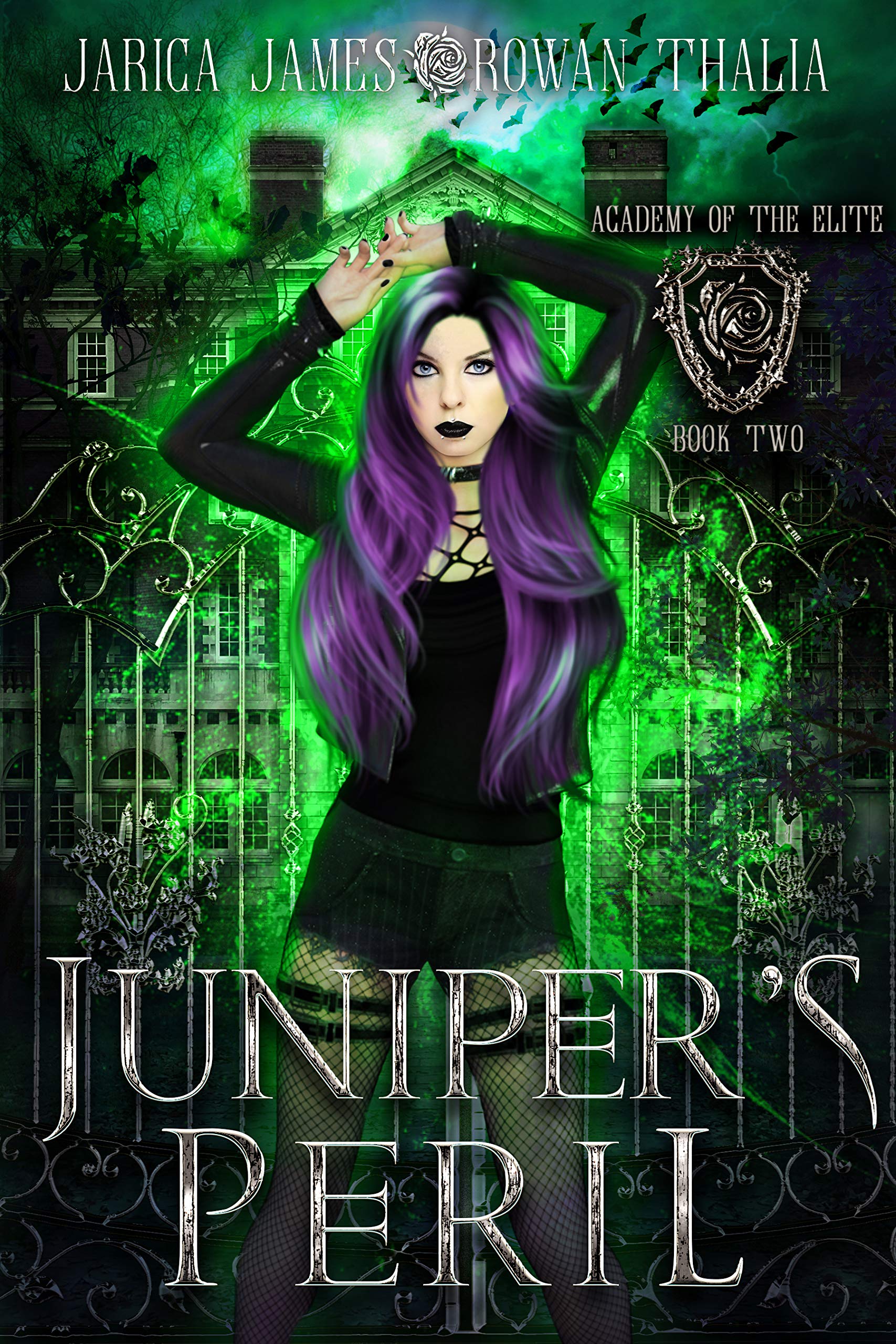 Academy of the Elite book cover 2
