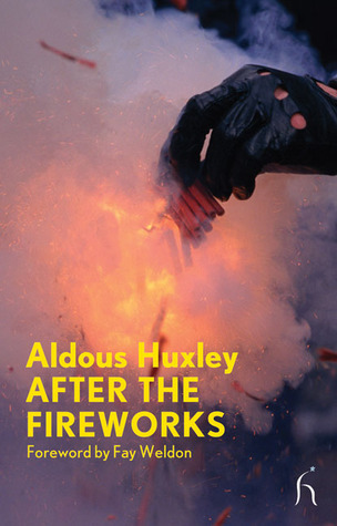 After the Fireworks book cover