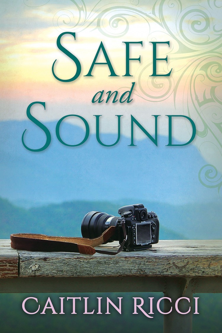 Safe and Sound book cover