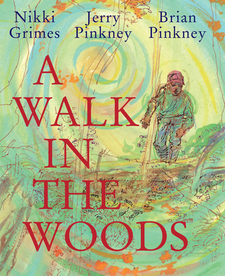 A Walk in the Woods book cover