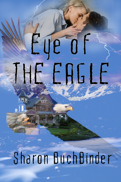 Hotel LaBelle book cover 3
