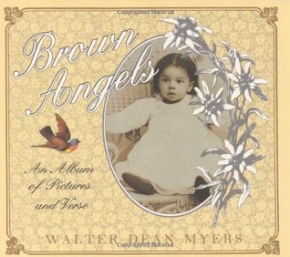 Brown Angels book cover