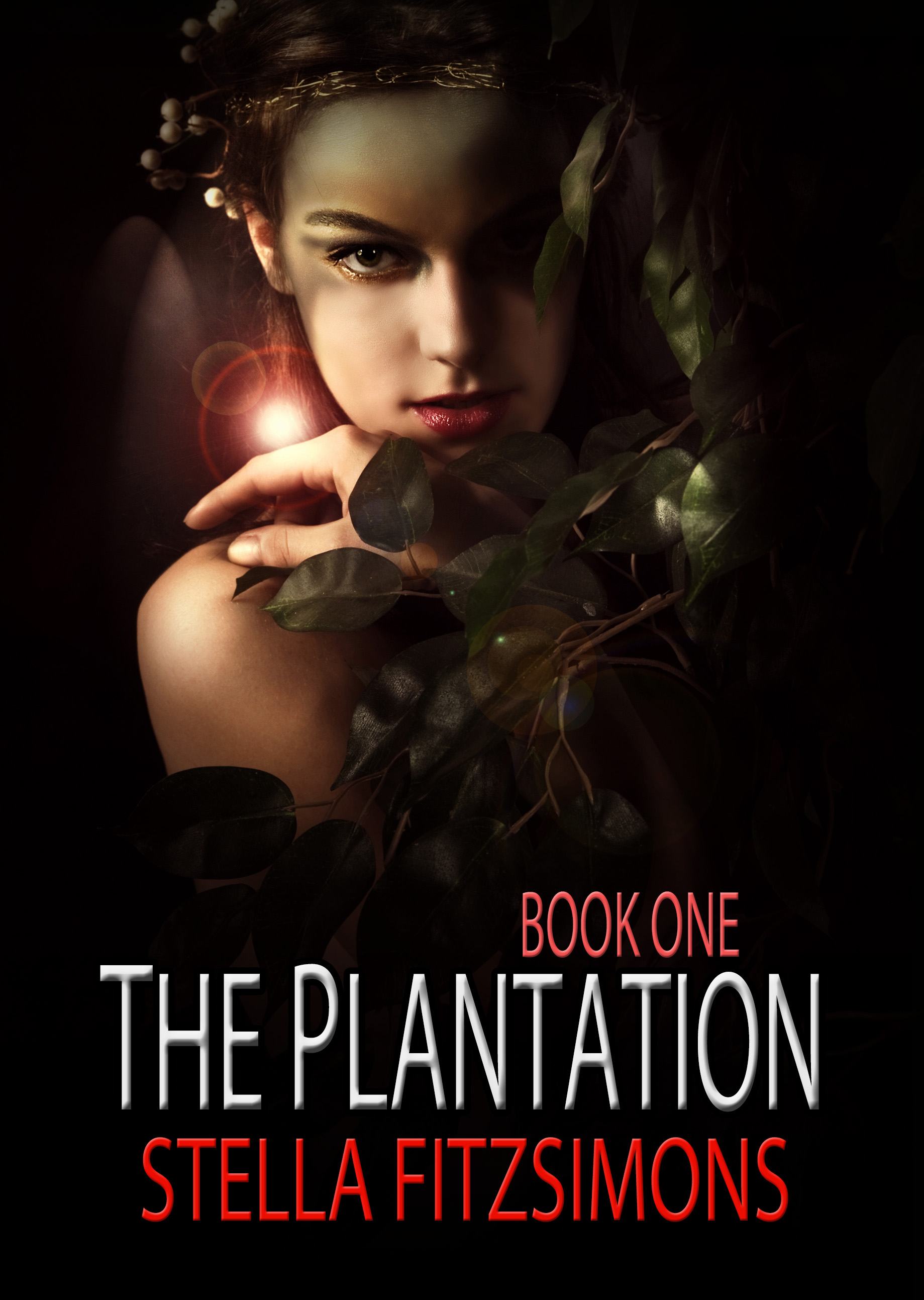 The Plantation book cover 1