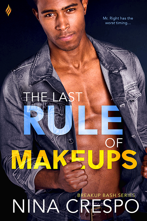 Breakup Bash book cover 3