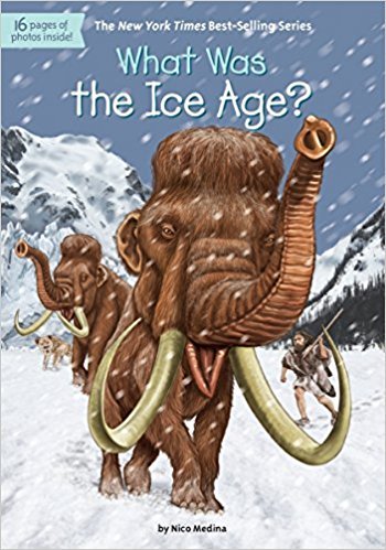 What Was the Ice Age? book cover