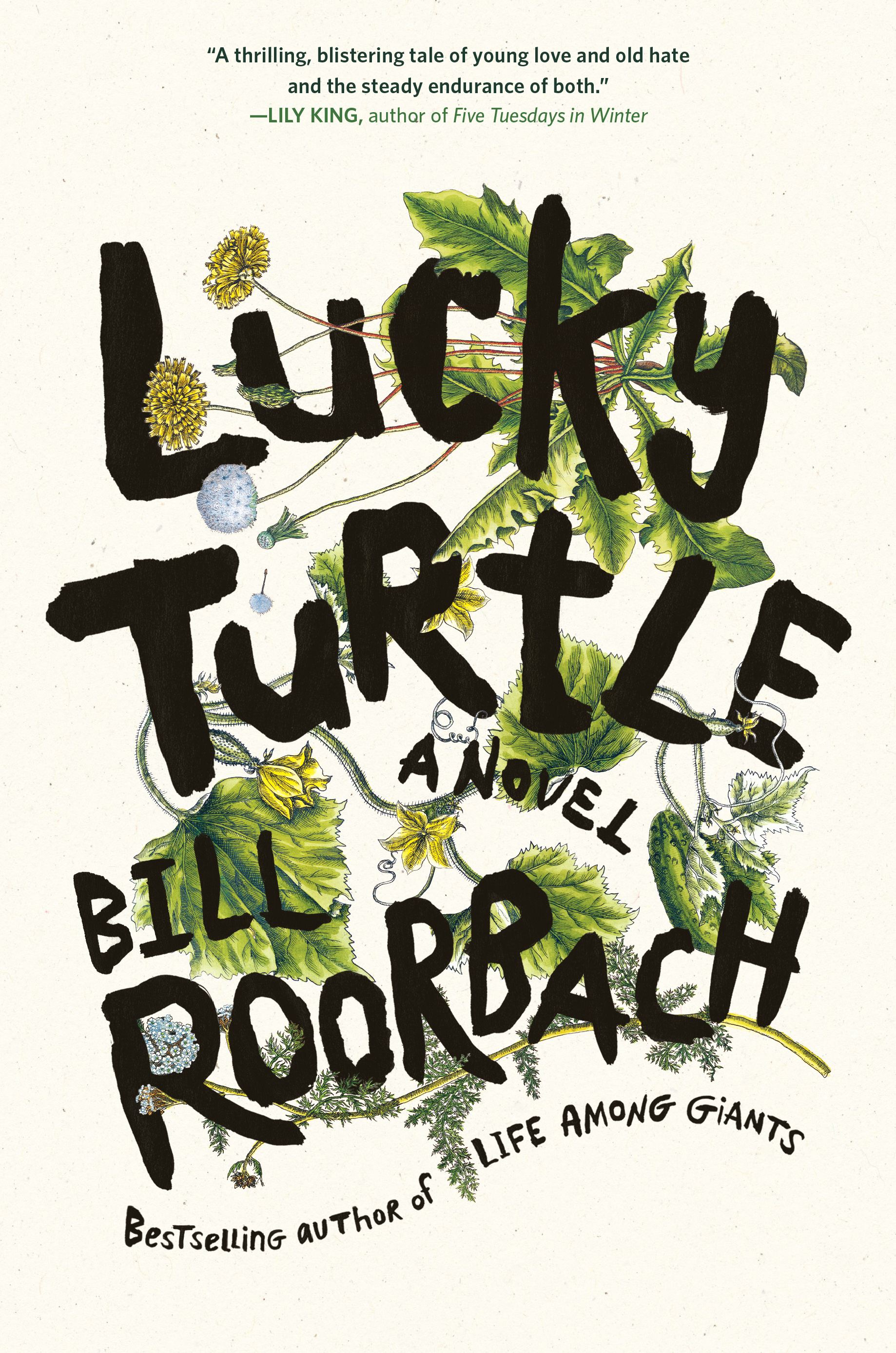 Lucky Turtle book cover