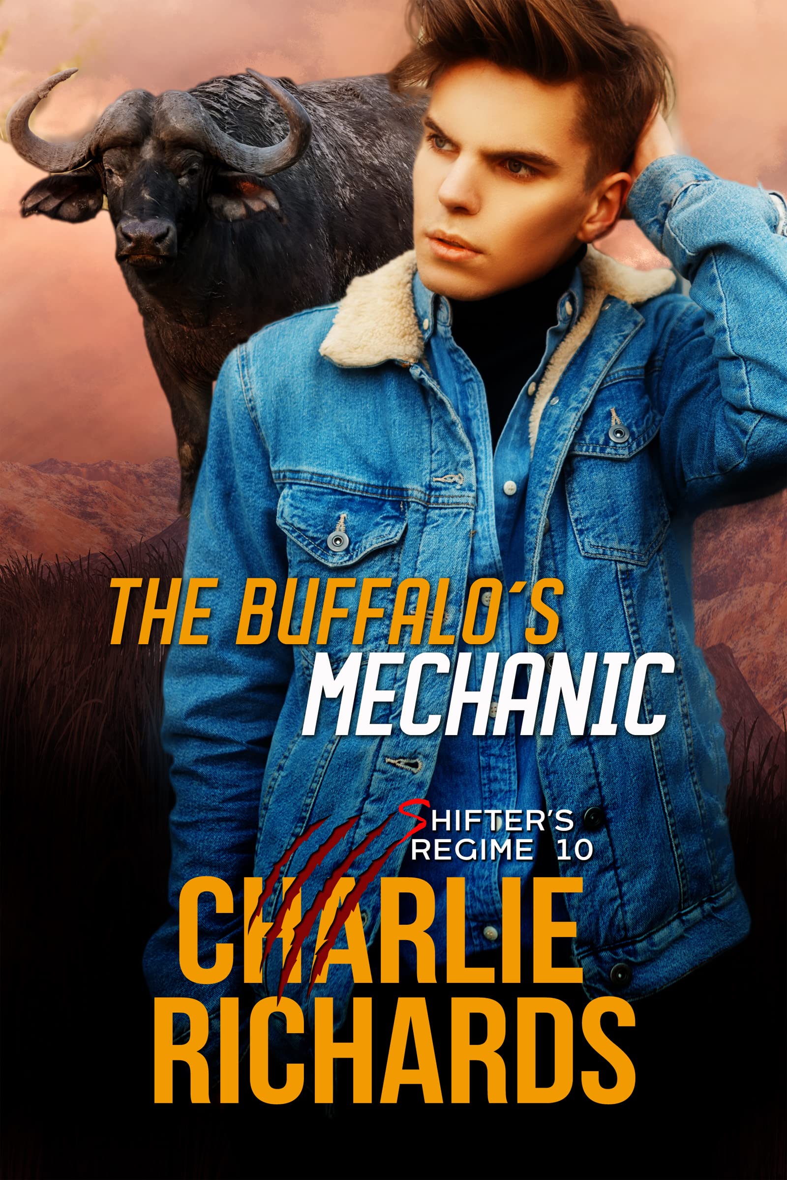 The Buffalo's Mechanic book cover