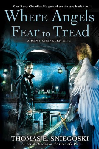 Remy Chandler book cover 3