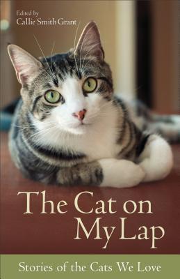The Cat on My Lap book cover