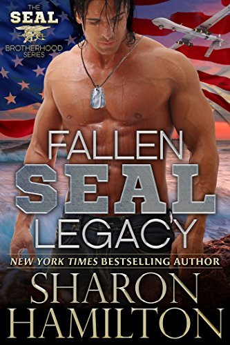SEAL Brotherhood book cover 2