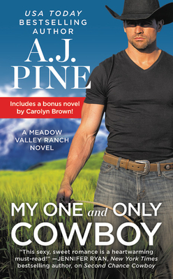Meadow Valley book cover 1