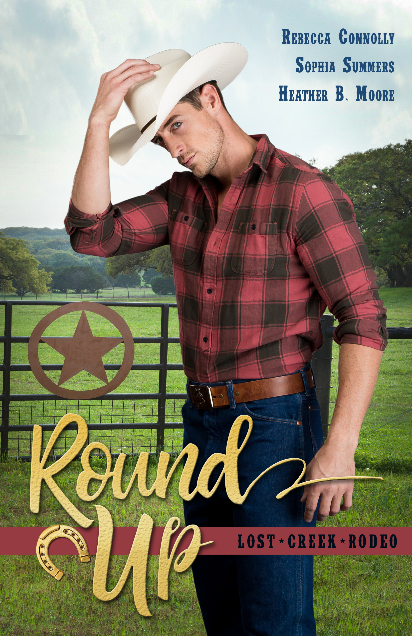 Lost Creek Rodeo book cover 1
