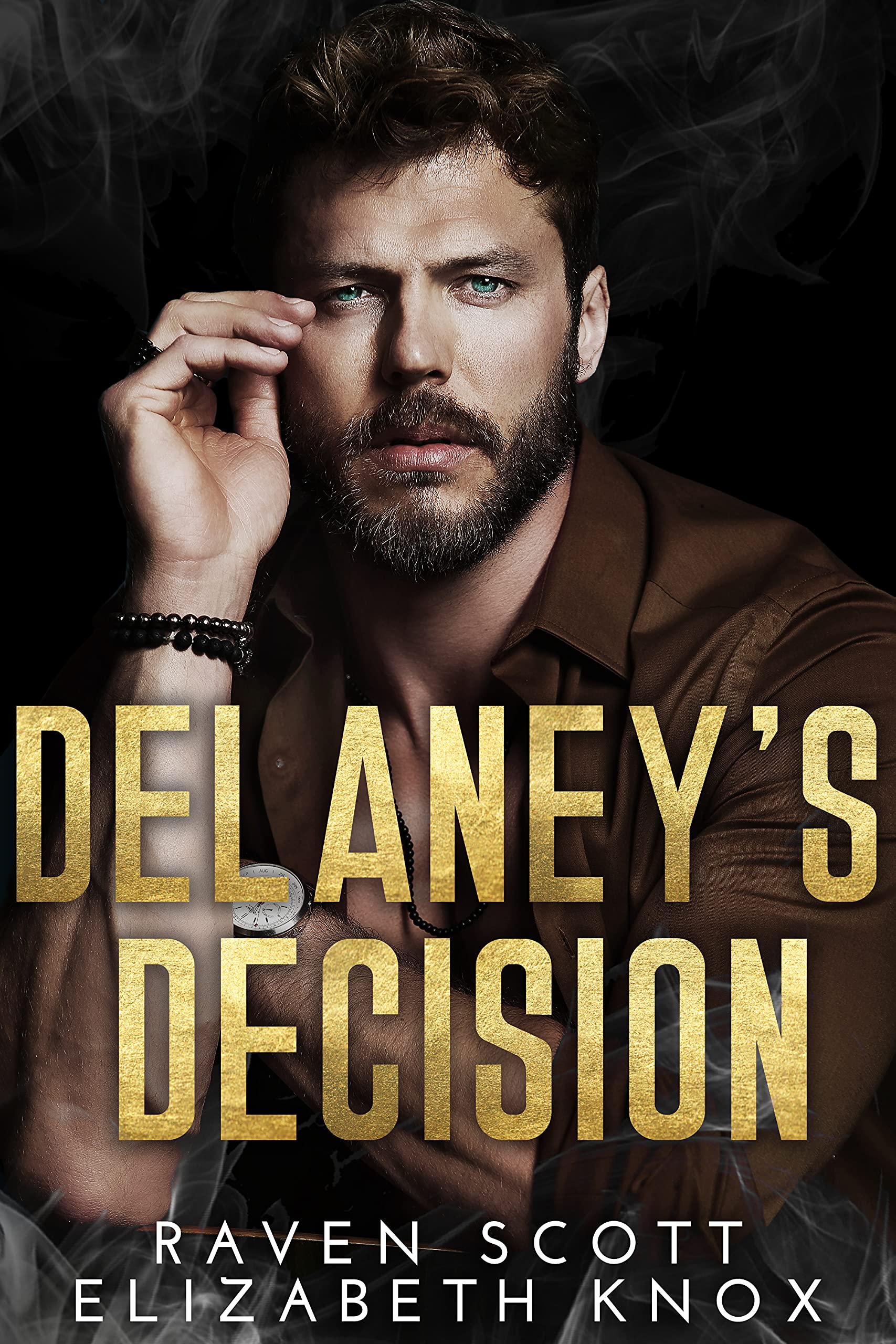 Delaney's Decision book cover