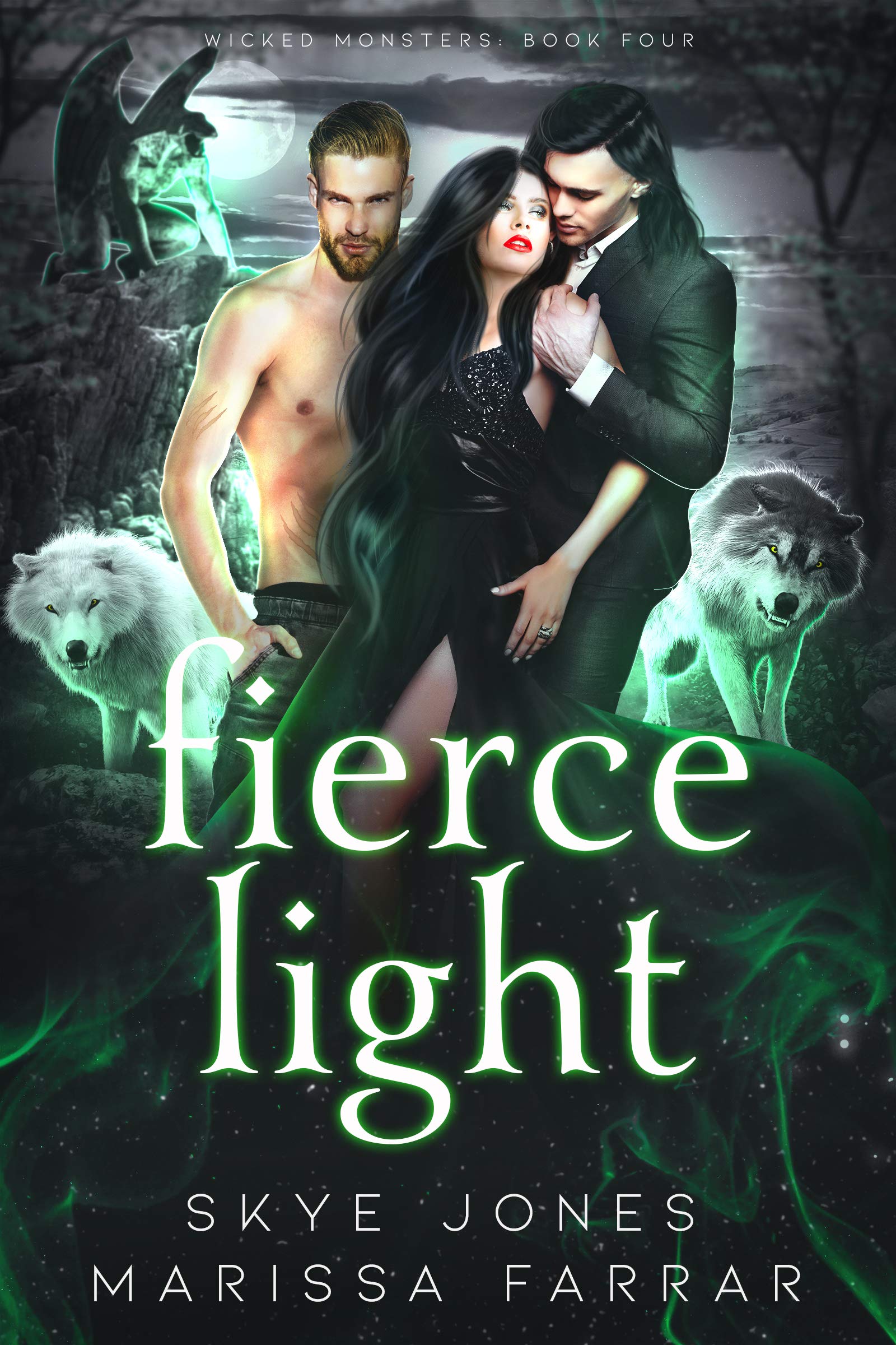 Fierce Light book cover