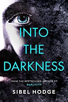 Into the Darkness book cover